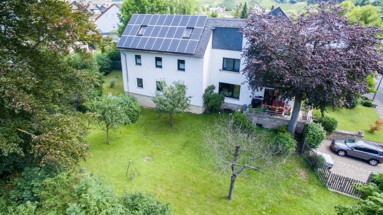 Ferienwohnung Moselblick Commune fusionnée de Bernkastel-Kues Extérieur photo