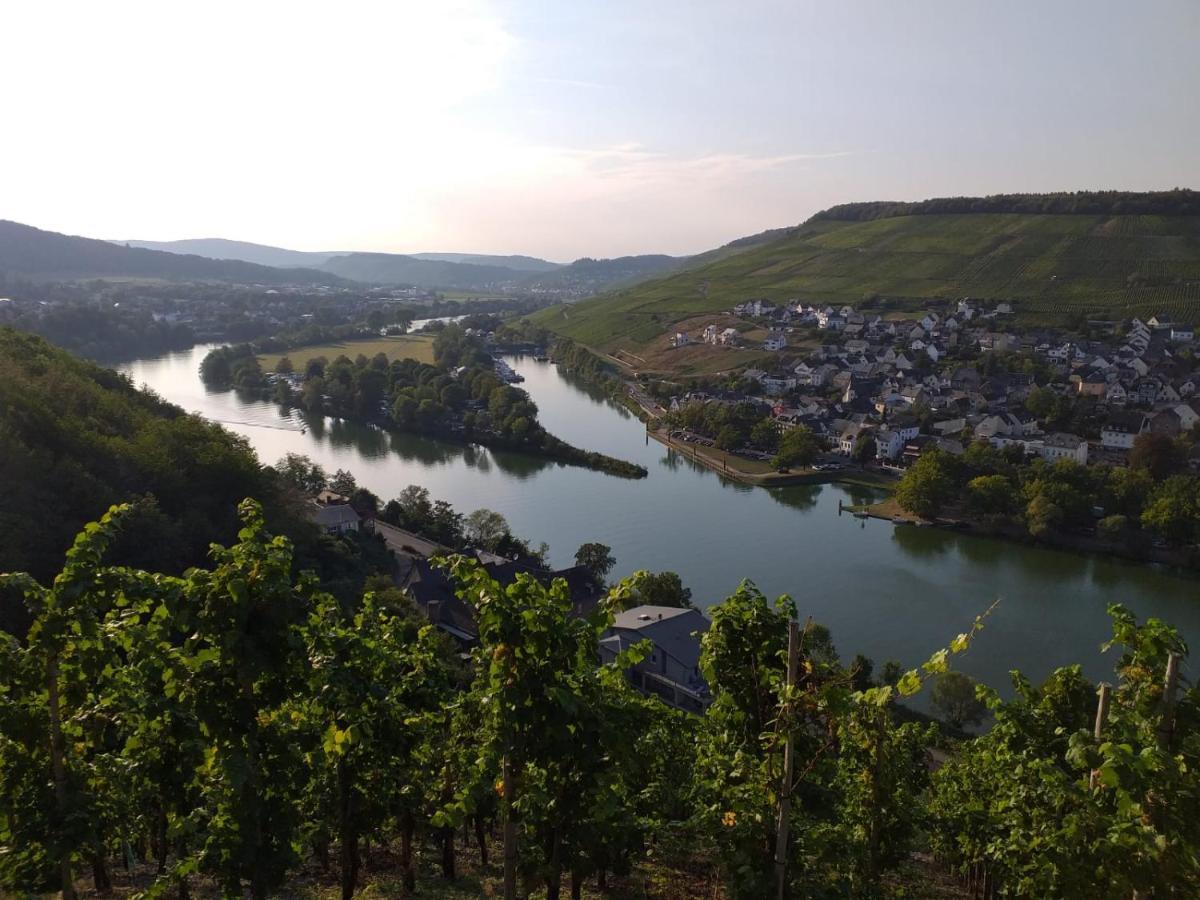 Ferienwohnung Moselblick Commune fusionnée de Bernkastel-Kues Extérieur photo