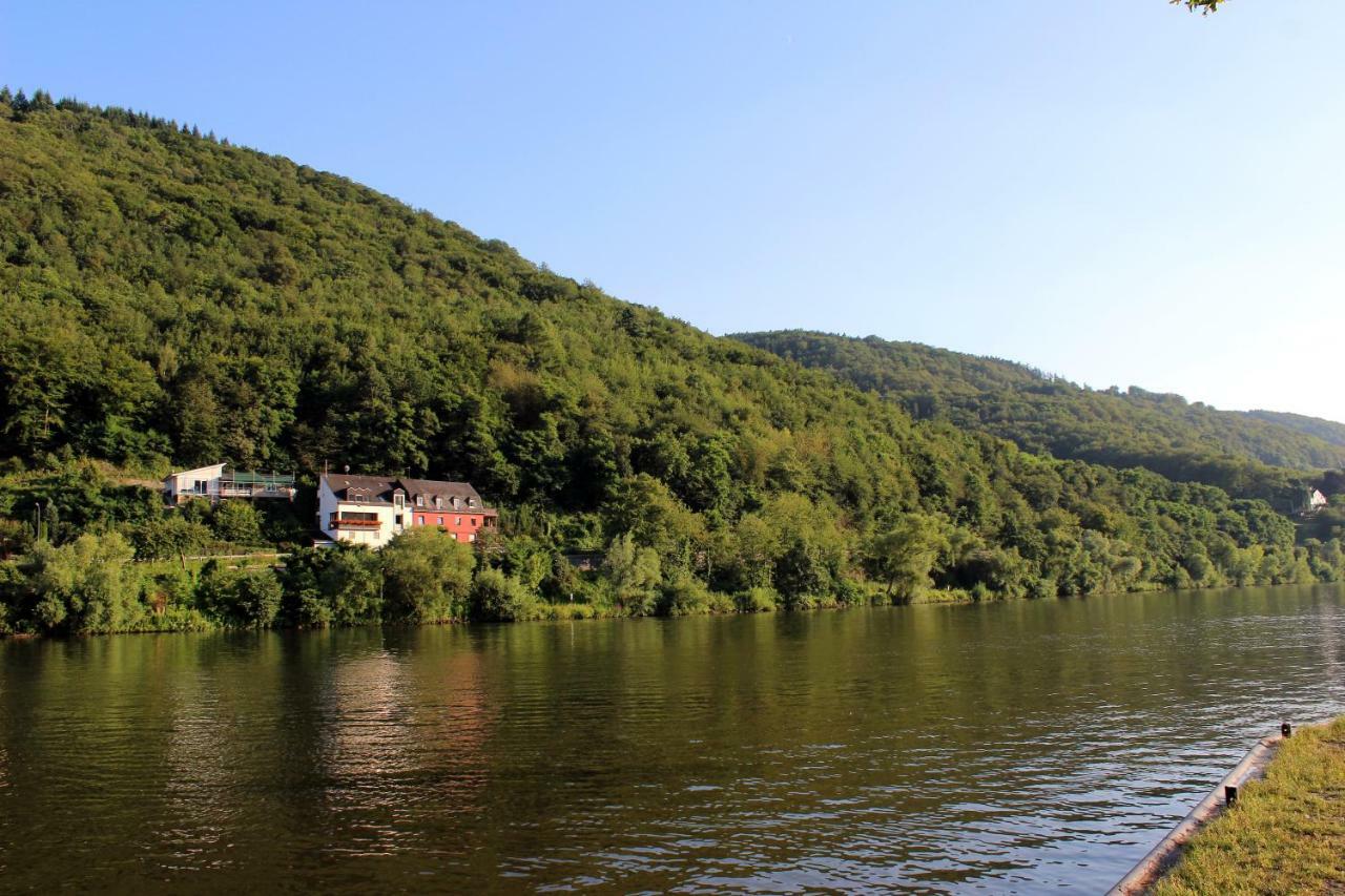 Ferienwohnung Moselblick Commune fusionnée de Bernkastel-Kues Extérieur photo