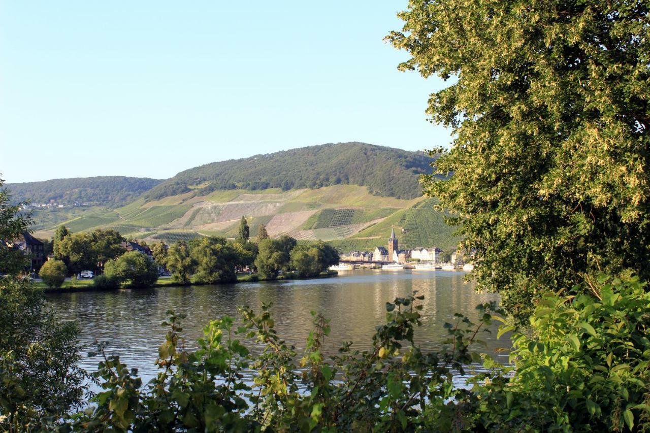 Ferienwohnung Moselblick Commune fusionnée de Bernkastel-Kues Extérieur photo